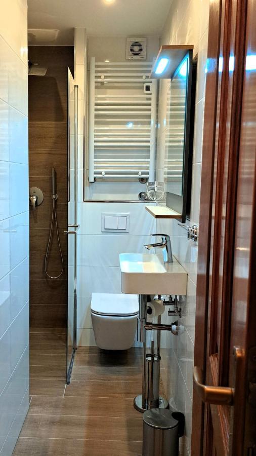Studio Apartman Olivera 罗维尼 外观 照片